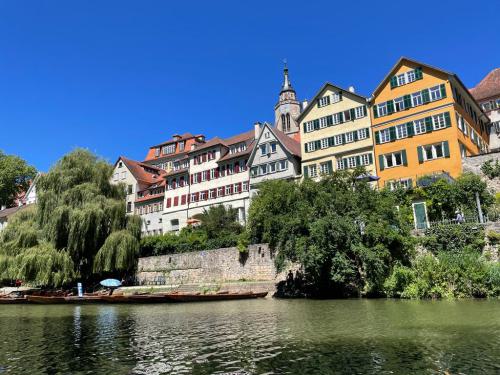 Sommerfest-Tuebingen-10