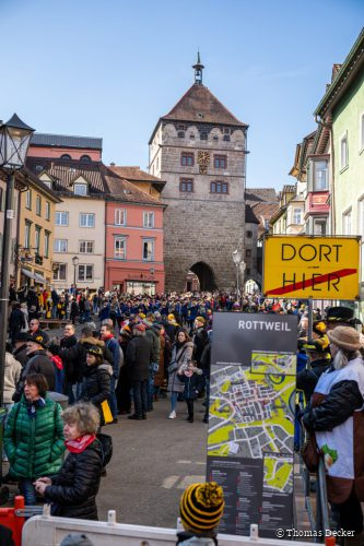 20250302-DSC 8347