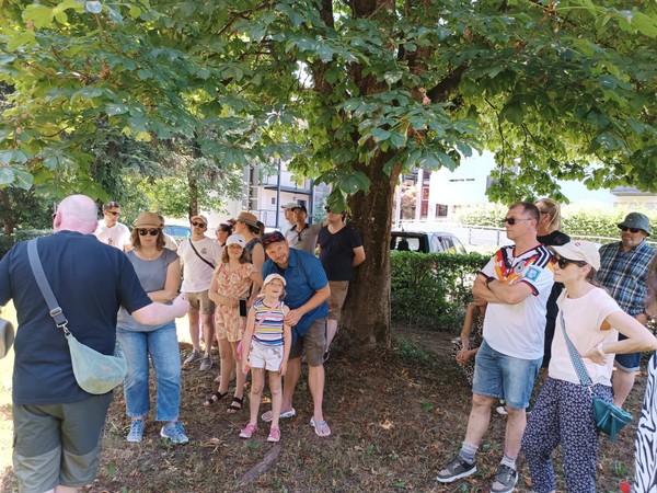Sommerfest 2026 · Bild 2