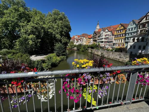 Sommerfest-Tuebingen-1