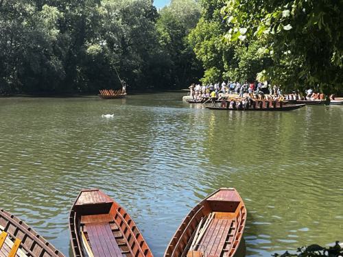 Sommerfest-Tuebingen-3